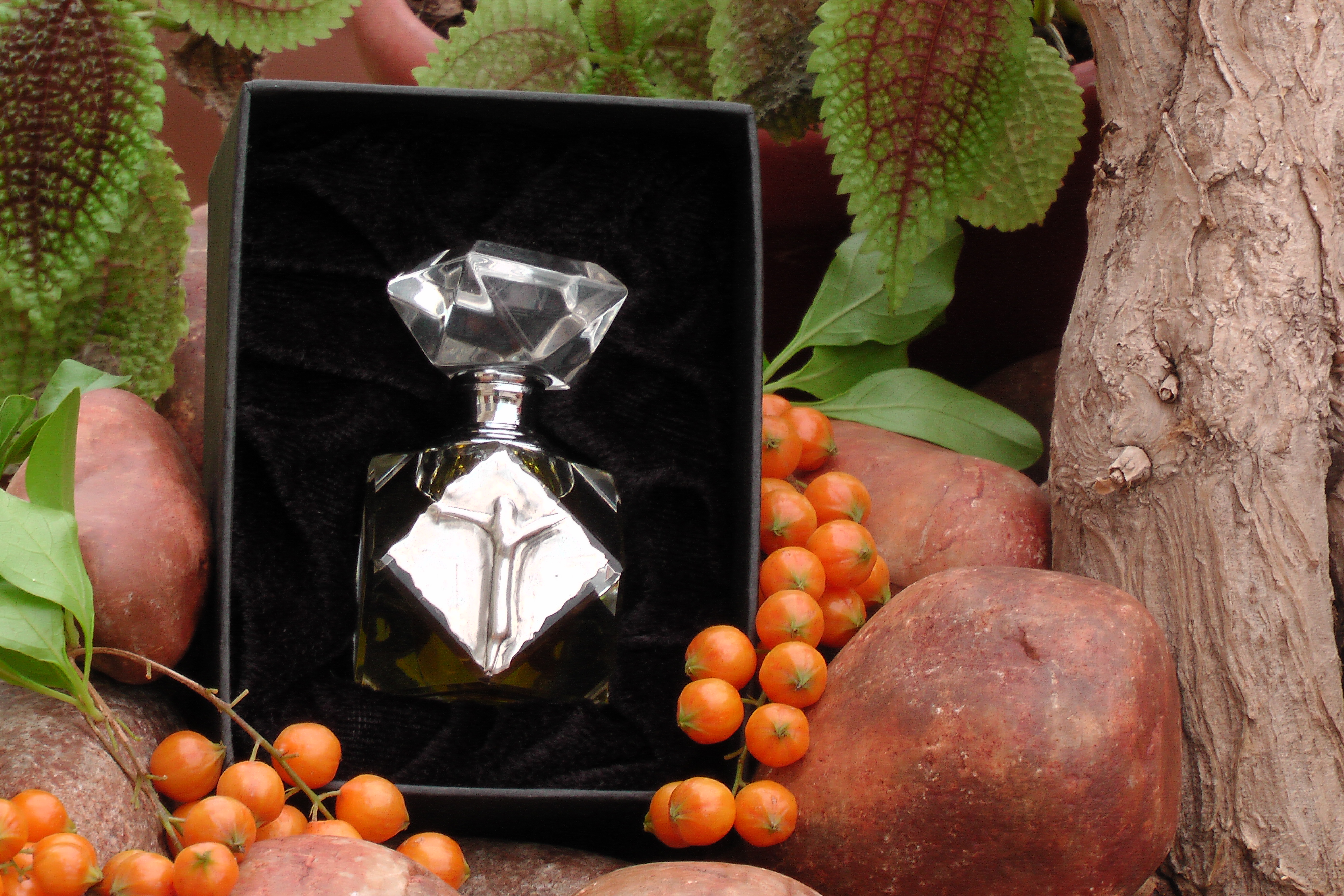 The Heart of the Anointing: Why We Are "Kadosh"