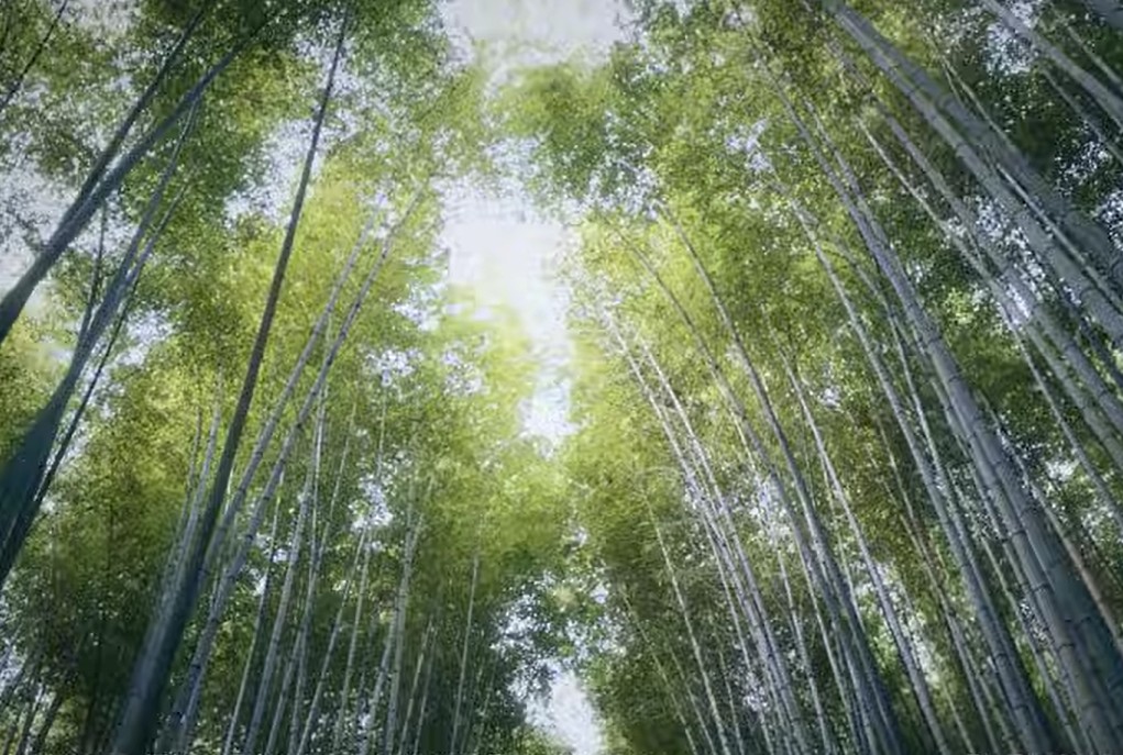 The Healing Presence of God