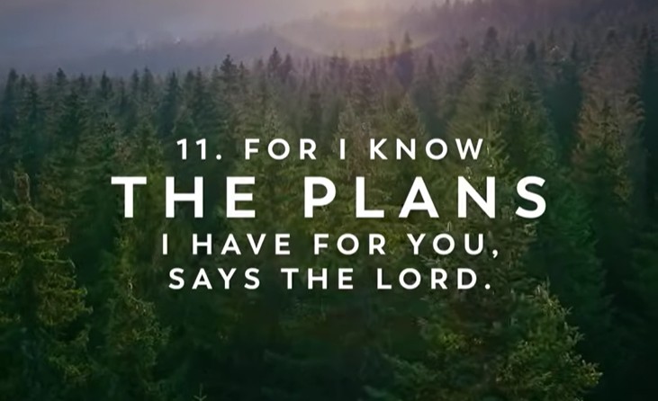  In The Healing Presence of God 